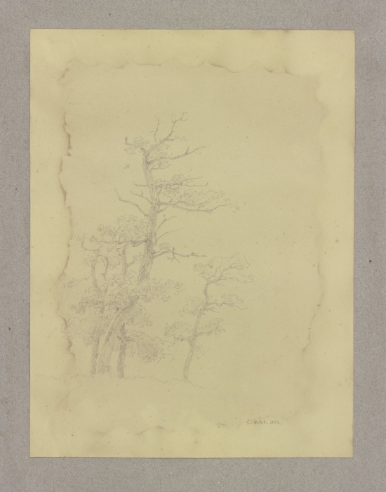 Group of leafless trees à Carl Theodor Reiffenstein