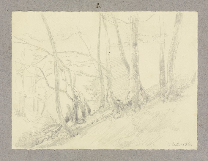 Forest slope à Carl Theodor Reiffenstein