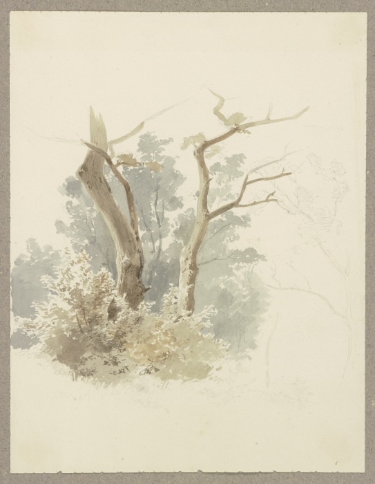 Waldpartie, im Vordergrund ein Baumpaar à Carl Theodor Reiffenstein