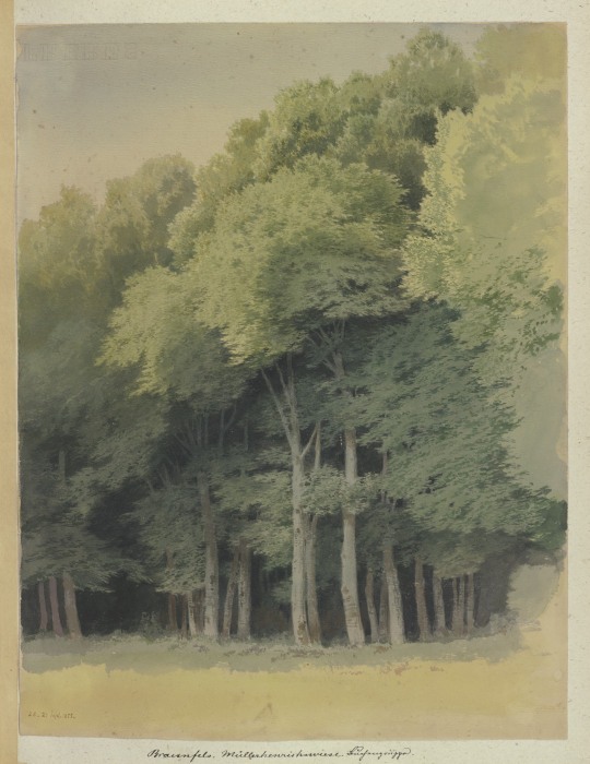 Forest edge near Braunfels à Carl Theodor Reiffenstein