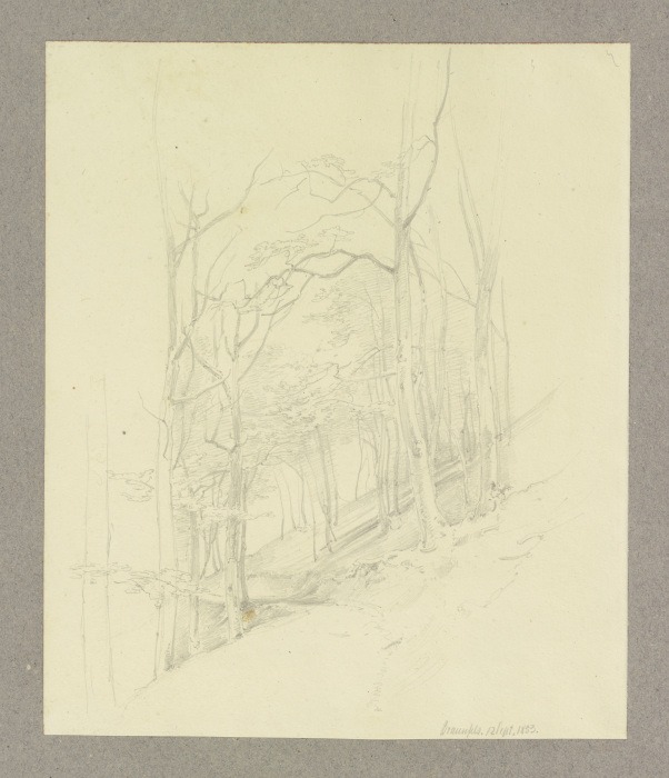 Waldstück an einem Hang bei Braunfels à Carl Theodor Reiffenstein