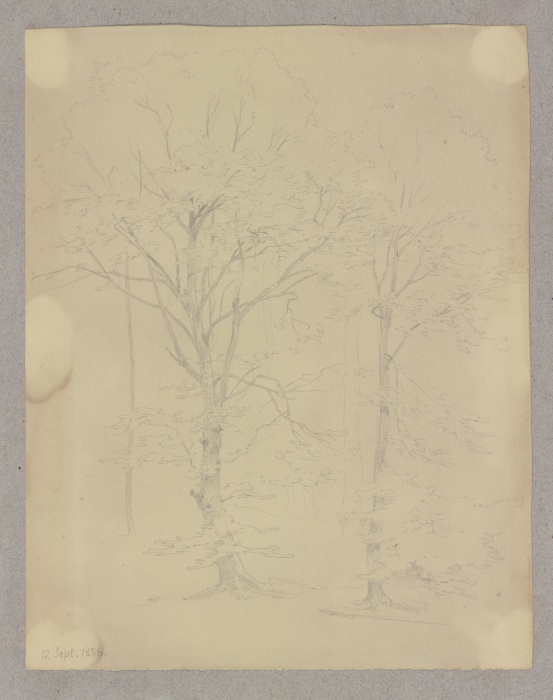 Two trees à Carl Theodor Reiffenstein