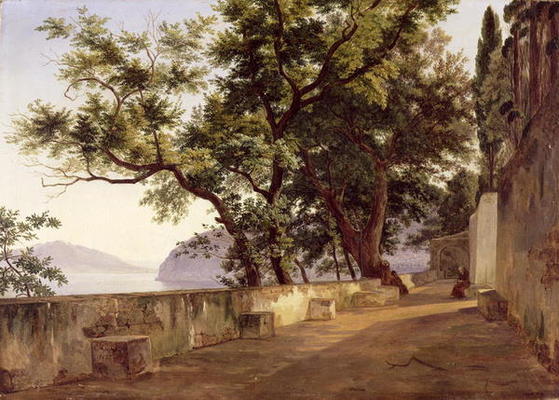 Garden of the Capuchin Friars, near Sorrento, 1827 (oil on canvas) à Carl Wilhelm Götzloff