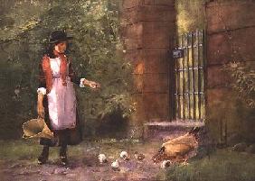 Girl feeding hens