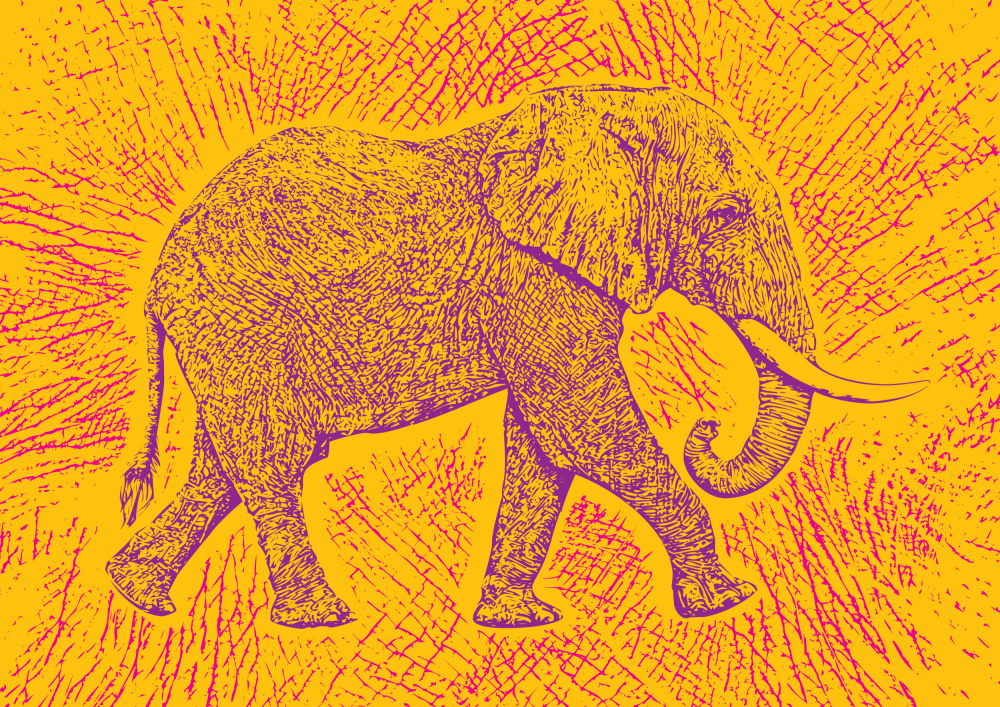Africa Elephant texture pattern à Carlo Kaminski