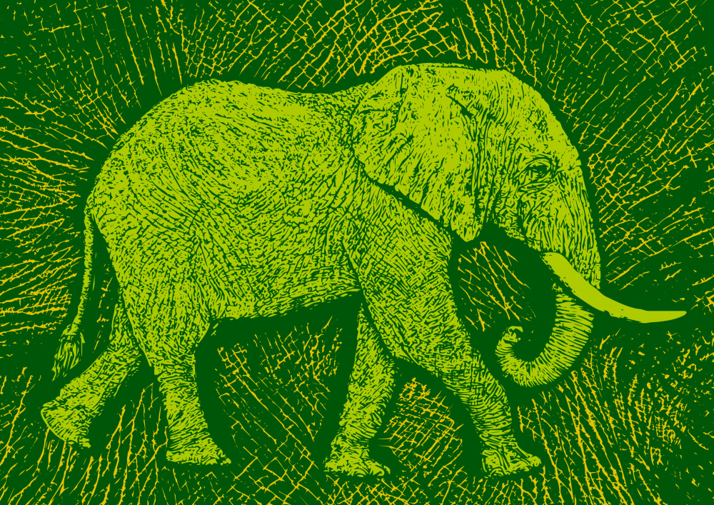 Africa Elephant texture pattern à Carlo Kaminski