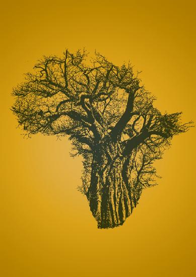 African Baobab Tree at Sunset