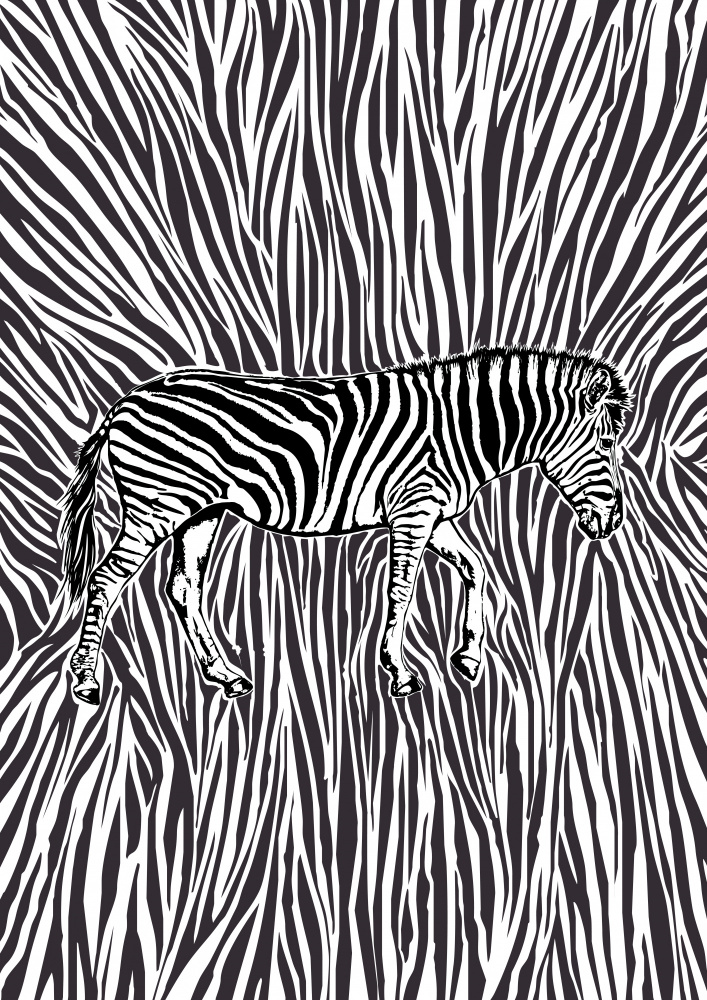African Zebra striking camouflage à Carlo Kaminski