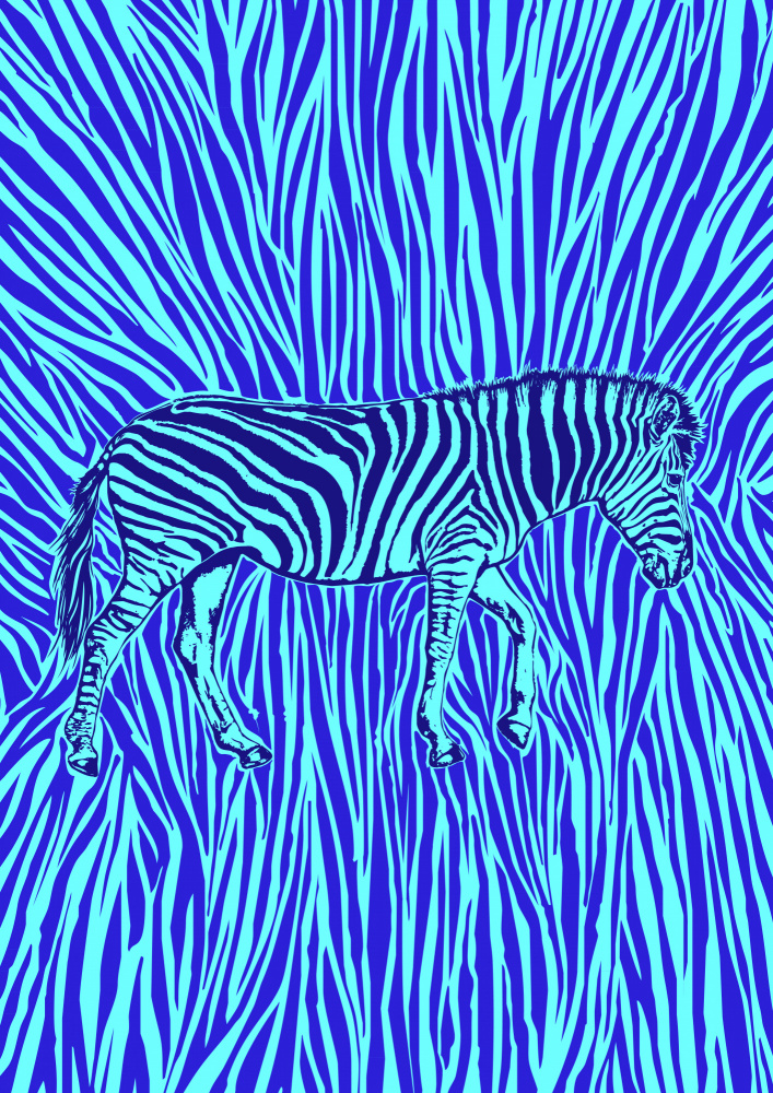 African Zebra striking camouflage à Carlo Kaminski