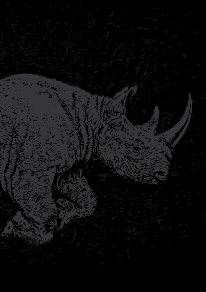 Black Rhino Charging à Carlo Kaminski