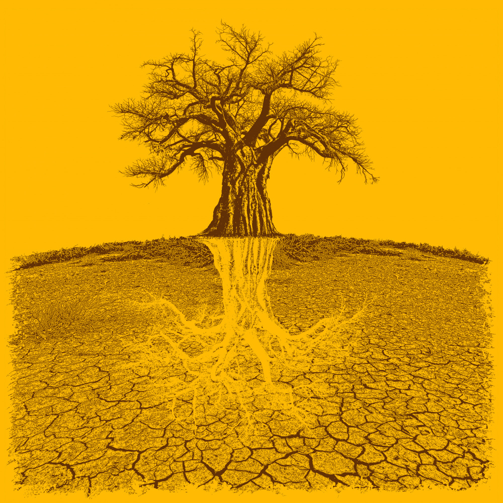 Baobab Mythical Roots Deeper Yellow (h) à Carlo Kaminski