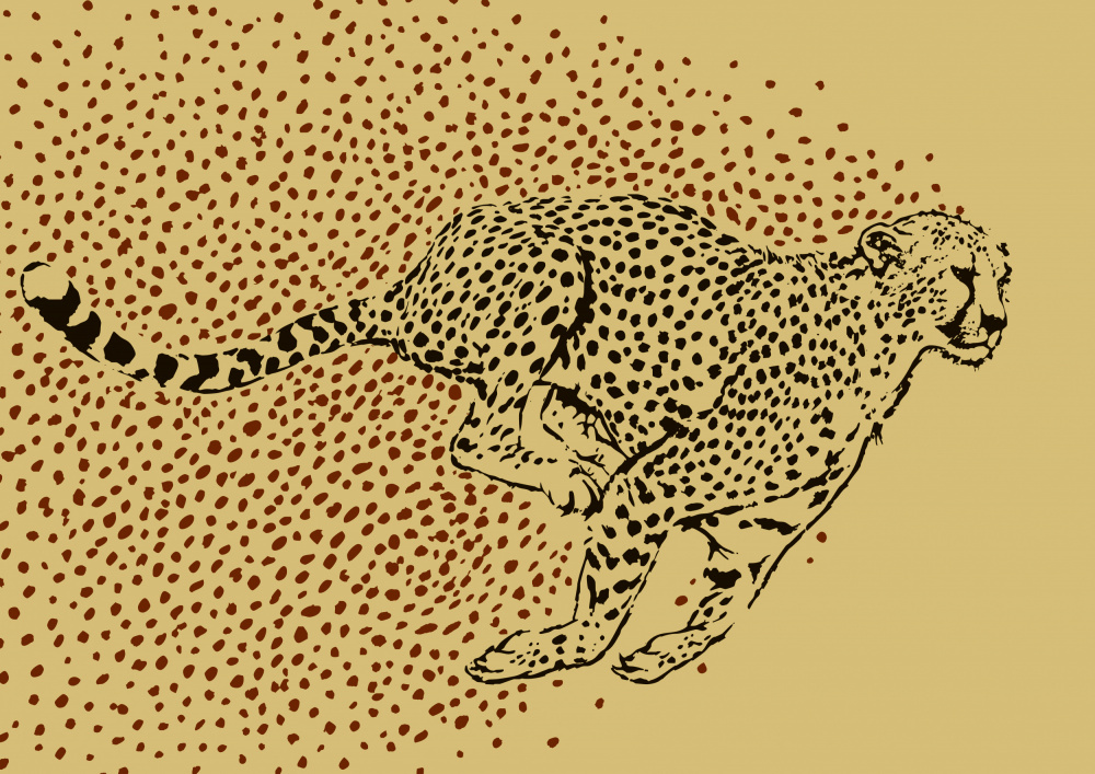 Cheetah Full Sprint à Carlo Kaminski