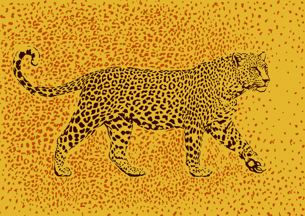Leopard Rosette camouflage à Carlo Kaminski