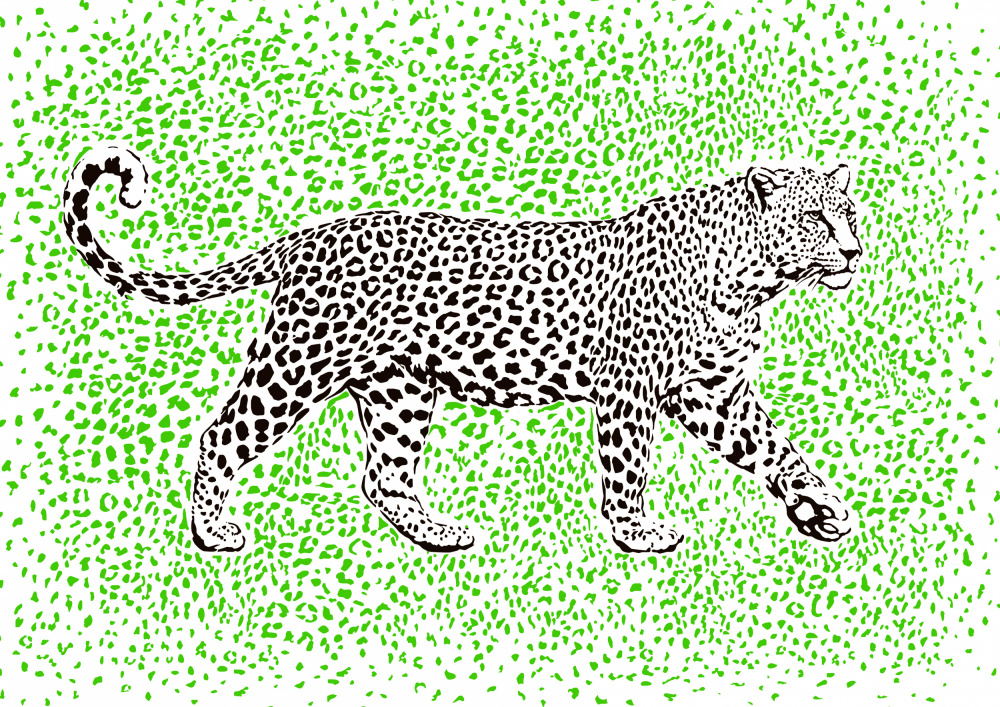 Leopard Rosette camouflage à Carlo Kaminski