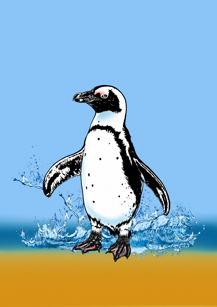 Cute Penguin splashing à Carlo Kaminski
