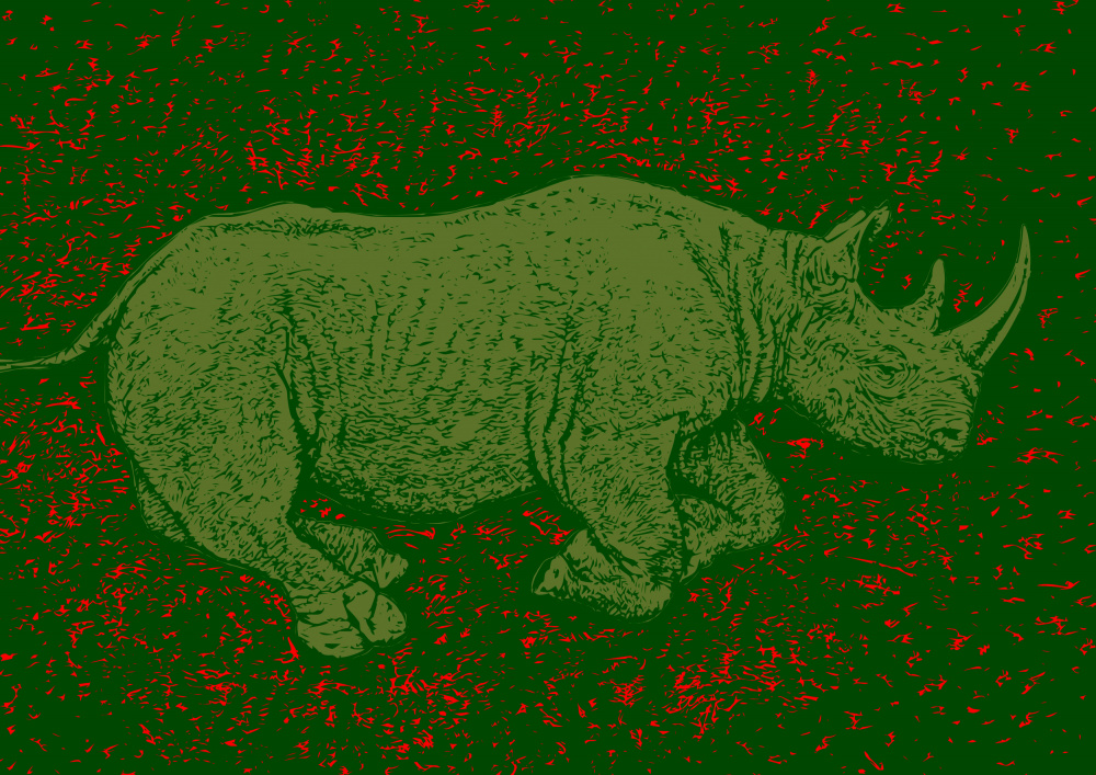Black Rhino Endangered à Carlo Kaminski