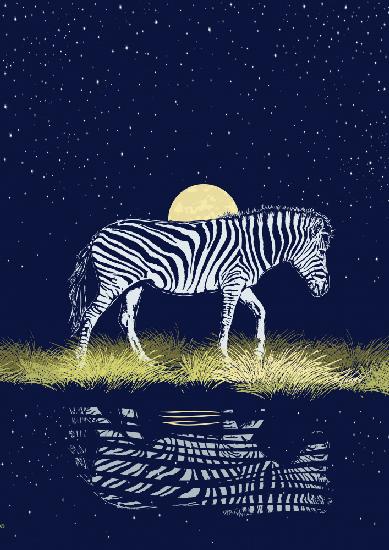Zebra at Waterhole Moonrise