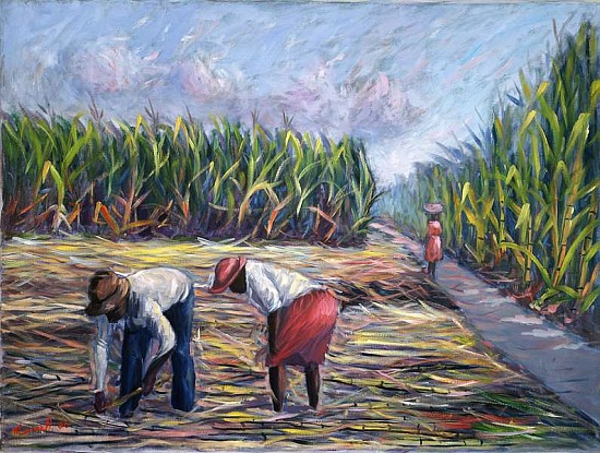 Sugarcane Harvest à  Carlton  Murrell