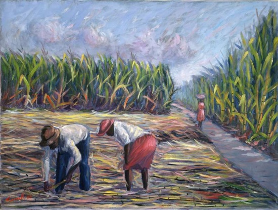 Sugarcane Harvest à  Carlton  Murrell