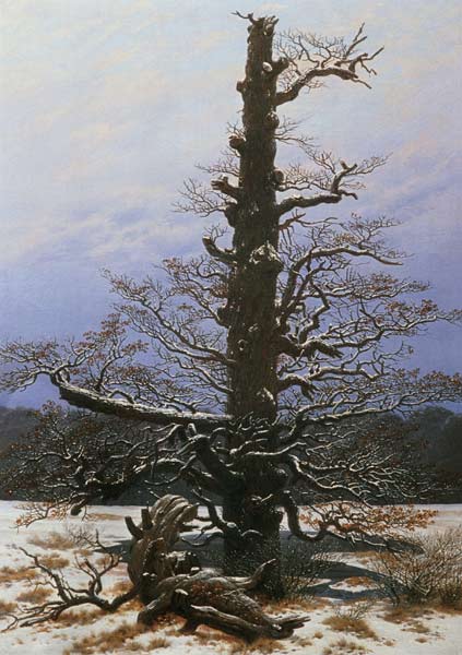 Oak Tree in the Snow à Caspar David Friedrich
