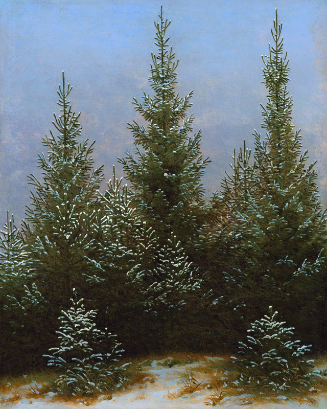 Taillis de sapin dans la forêt à Caspar David Friedrich