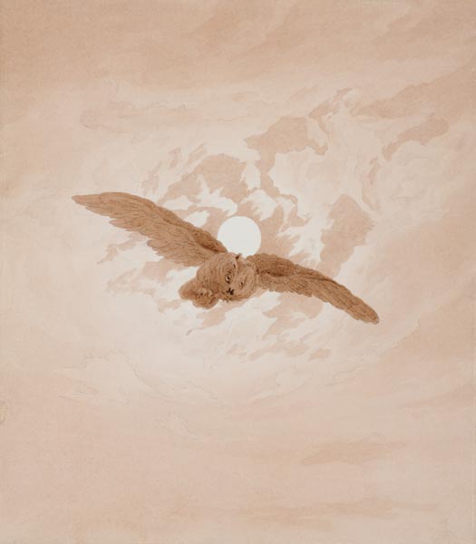 Owl Flying against a Moonlit Sky à Caspar David Friedrich