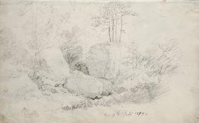 Boulders in Woodland