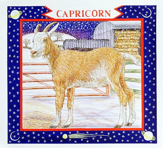 Capricorn (w/c on paper)  à Catherine  Bradbury