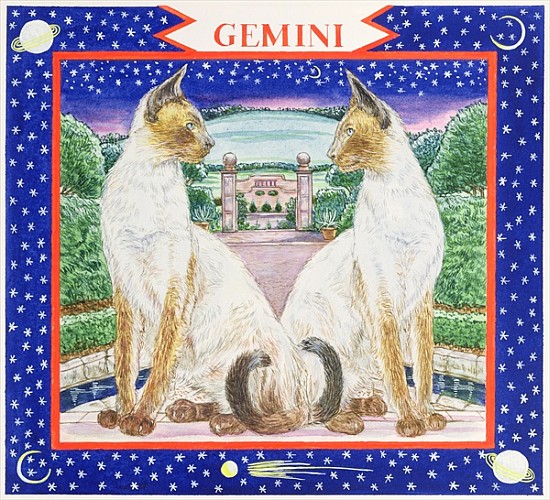 Gemini (w/c on paper)  à Catherine  Bradbury