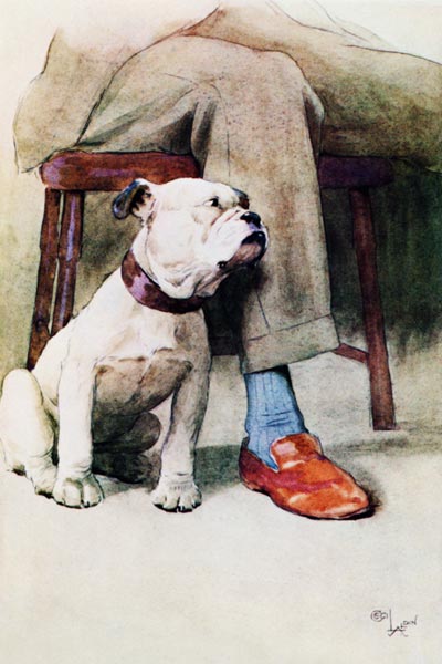 Bulldog (pen & ink & wash on paper) à Cecil Charles Windsor Aldin