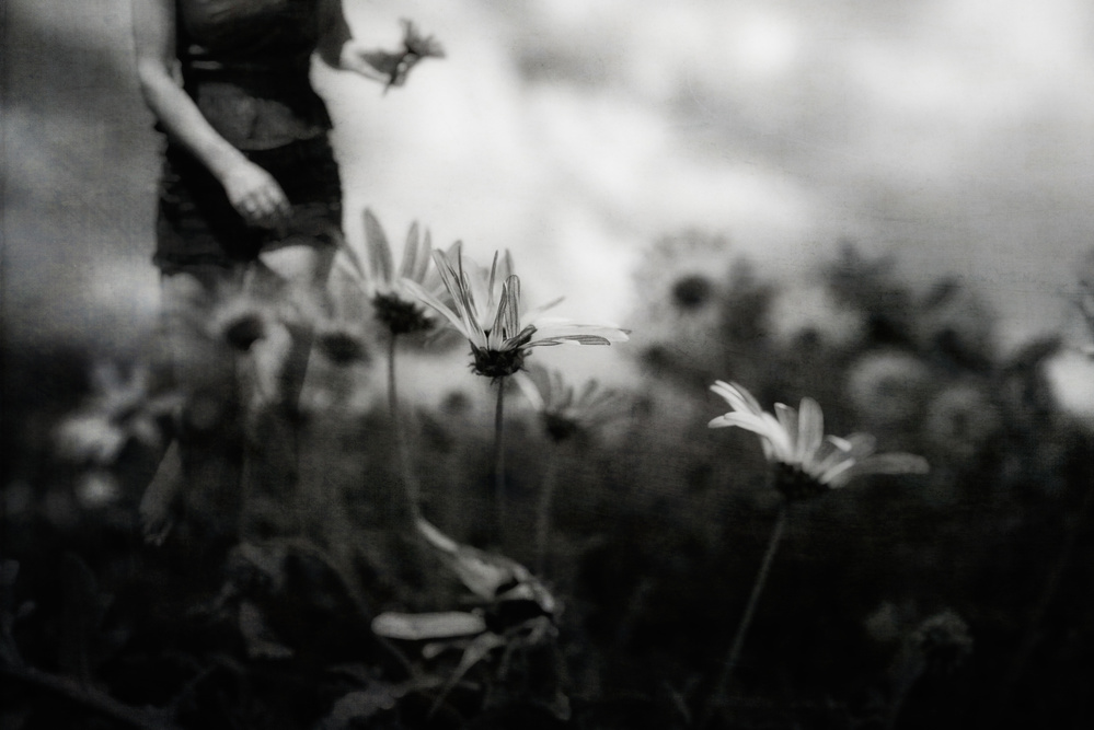 ...then I was young and unafraid... à Charlaine Gerber