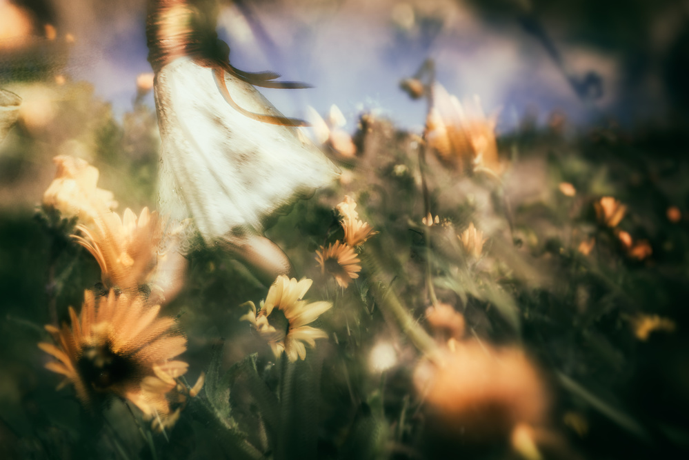 Let the morning time drop its petals on me.. à Charlaine Gerber
