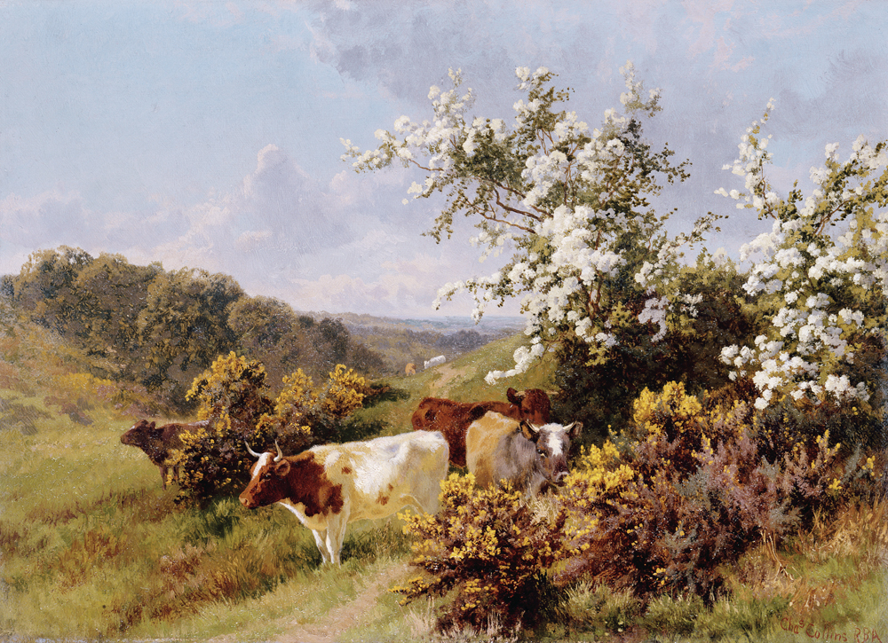 May Blossom à Charles Collins