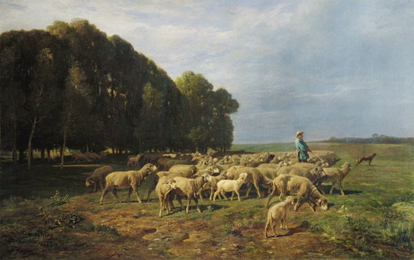 Flock of Sheep in a Landscape à Charles Emile Jacques