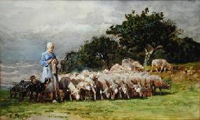 A Shepherdess with a Flock of Sheep
