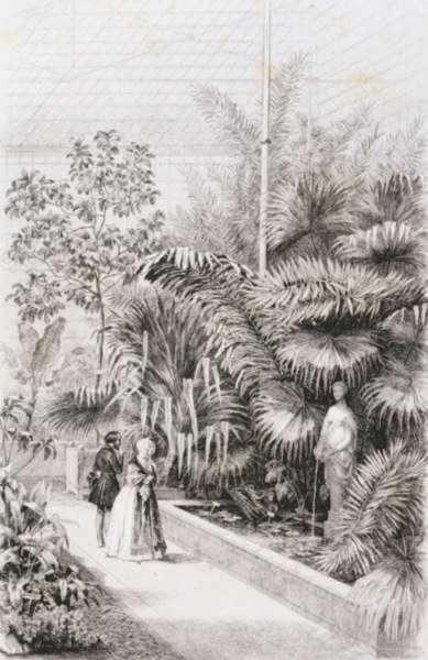 Paris, Jardin des Plantes, Greenhouse à Charles-François Daubigny