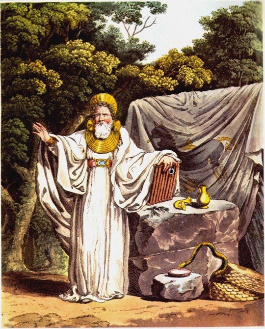 Arch-Druid in his full Judicial Costume (From "The Costume of the Original Inhabitants of the Britis à Charles Hamilton Smith