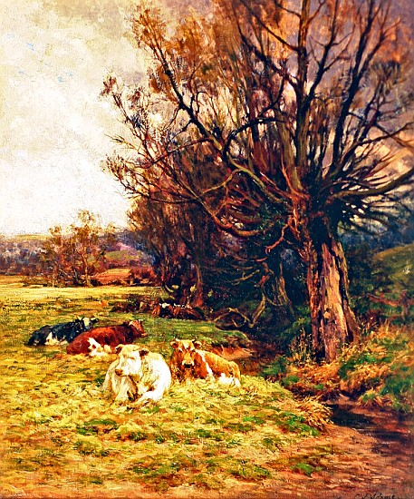 Cattle grazing à Charles James Adams