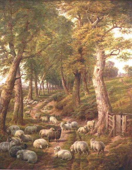 Landscape with Sheep à Charles Jones