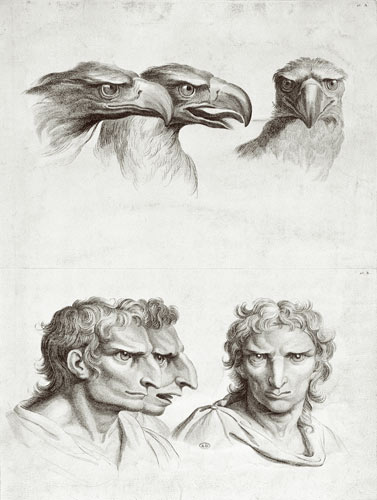 Similarities Between the Head of an Eagle and a Man, from 'Livre de portraiture pour ceux qui commen à Charles Le Brun
