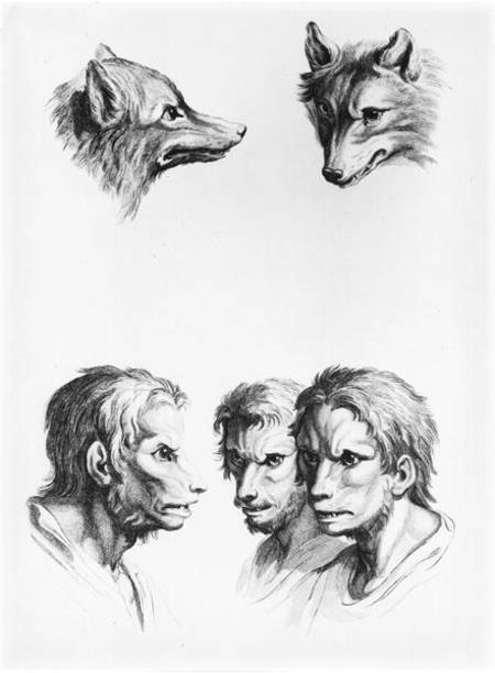 Similarities Between the Head of a Wolf and a Man, from 'Livre de portraiture pour ceux qui commence à Charles Le Brun