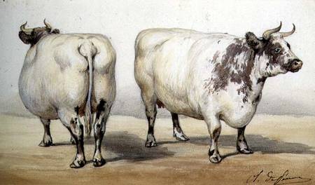 Study of two long-horned cows à Charles Oliver de Penne