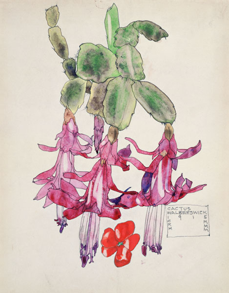 Cactus Flower à Charles Rennie Mackintosh