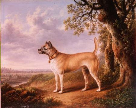 A Terrier on a path in a wooded landscape à Charles Towne