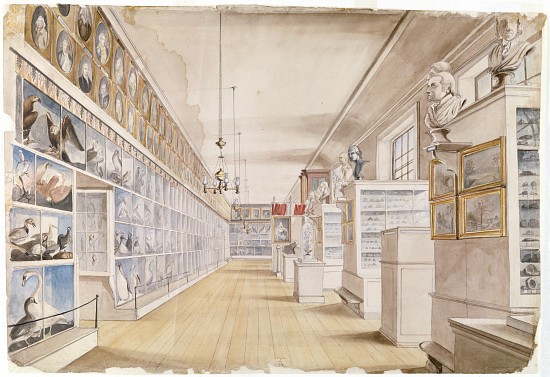 The Long Room, Interior of Front Room in Peale's Museum à Charles Willson Peale