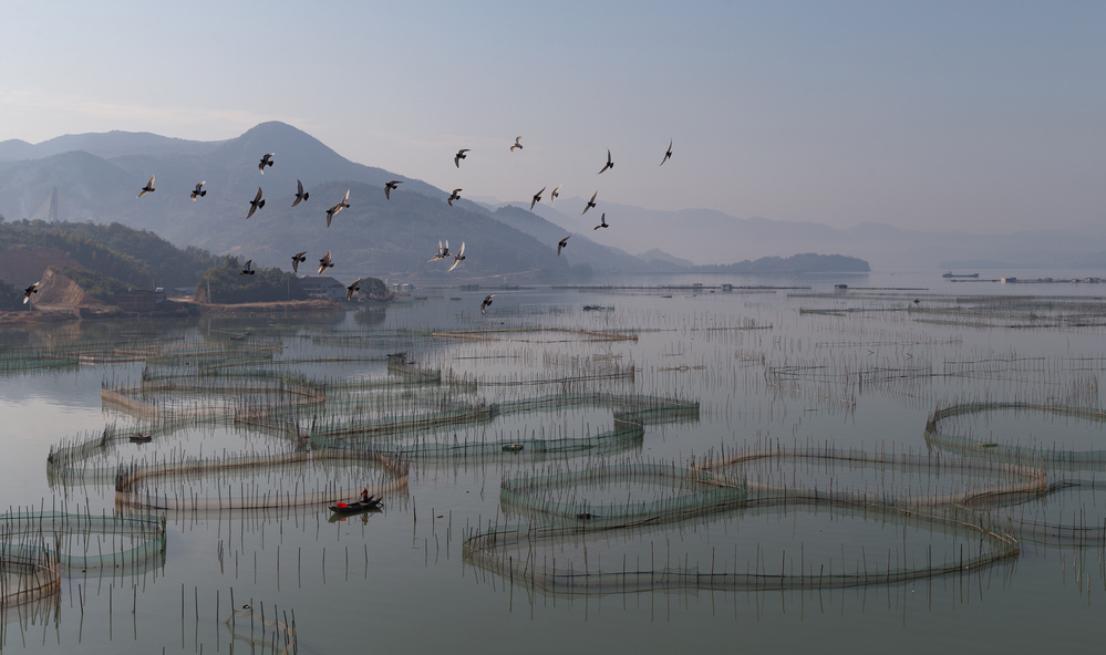 An aquaculture farm at Fuding à Cheng Chang