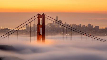 Karl, the San Francisco Fog