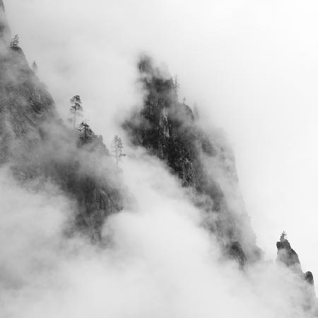 Foggy Mountain