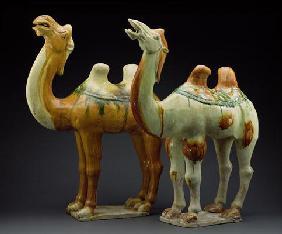 Two camels, Tang Dynasty (618-907) (glazed earthenware)