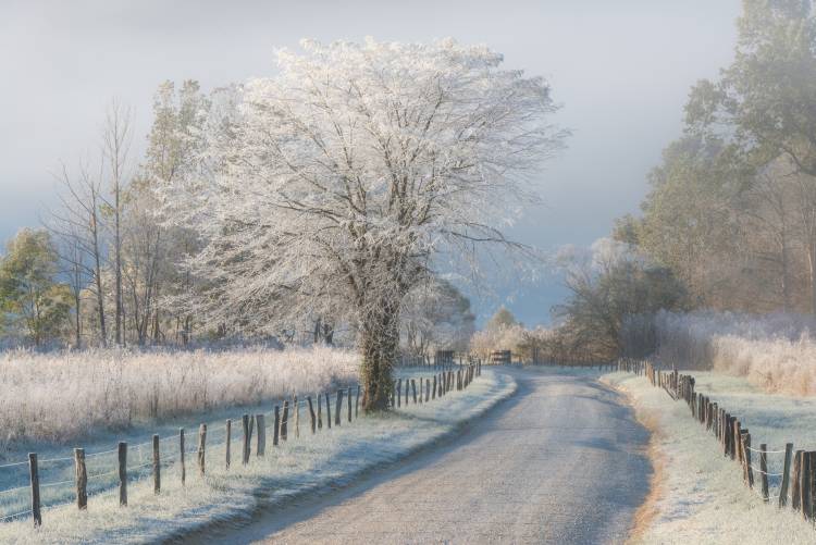 A Frosty Morning à Chris Moore